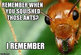 Image result for For Ants Meme