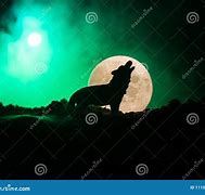 Image result for Galaxy Wolf Silhouette