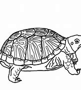 Image result for Cartoon Turtle Clip Art Black and White