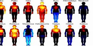 Image result for Body Scan Emotions