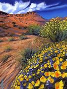 Image result for New Mexico Wildflowers Poster