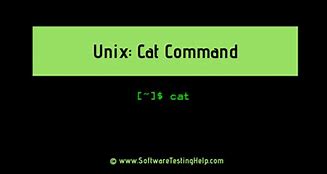 Image result for cat_unix