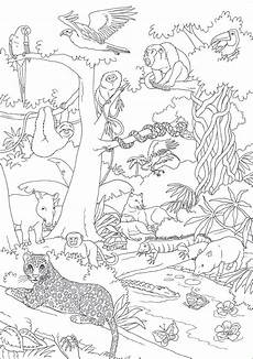 malvorlagen urwald zum ausdrucken 94 neu ausmalbilder tiere im dschungel galerie kinder bilder malvorlagen urwald zum ausdrucken 94 neu ausmalbilder tiere im dschungel galerie kinder bilder
