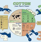 Image result for Cotton Processing Steps