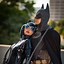 Image result for Best Batman Costume