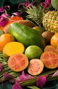 Image result for Hawaii Fruits Tropical Fruit