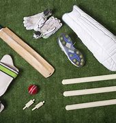 Image result for Cricket Players with All Accessories On