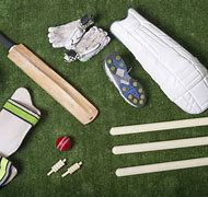 Image result for Things for Cricket