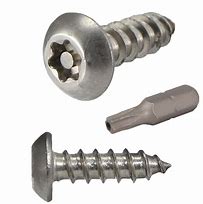 Image result for Stainless Steel Security Screws
