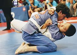 Image result for Grapple Martial Arts