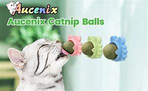 Image result for Catnip Ball