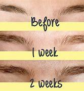 Image result for Eyebrow Fails