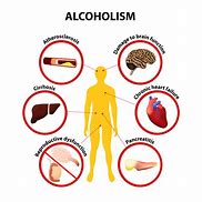 Image result for Facts About Drugs and Alcohol