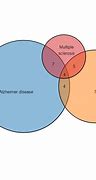 Image result for Intersectionality Venn Diagram