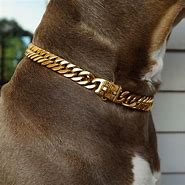 Image result for Gold Chain Dog Collar