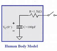 Image result for Human Body Model Kit