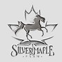 Image result for Silver Arabian Horse