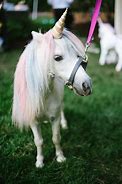 Image result for Unicorn Complacent