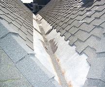 Image result for Cricket Roof Tile