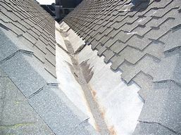 Image result for Roof Cricket