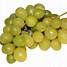 Image result for Marquette Grape
