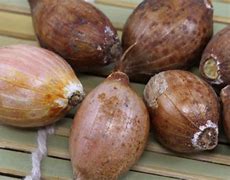 Image result for Ixiolirion tataricum