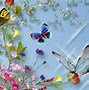 Image result for Summer Flowers and Butterflies