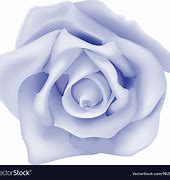 Image result for Blue Rose Vector