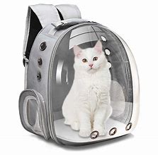 Image result for Cat Holder Backpack