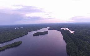 Image result for Fish Buck Lake Ontario