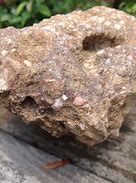 Image result for Conglomerate Stone That Looks Like Chocolate Chip