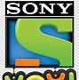 Image result for Sony Entertainment Network MSM India Logo