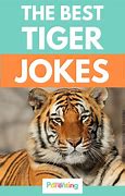 Image result for Tiger Jokes