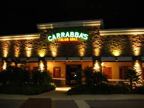 Image result for carabs