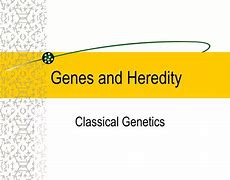 Image result for Heredity Science