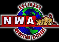 Image result for World Championship Wrestling Logo