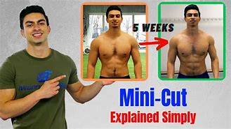 Image result for 4 Inch Mini Cut