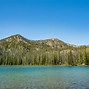 Image result for Sawtooth Forest