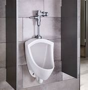 Image result for American Standard Urinal Flush Valve