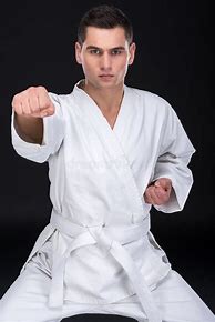 Image result for Martial Arts Pictures
