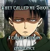 Image result for Levi Memes Height