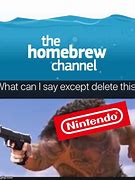Image result for Nintendo Homebrew Memes