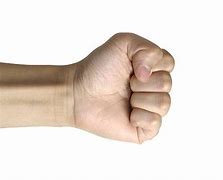 Image result for Left Hand Fist