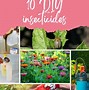 Image result for Plant Insecticide