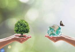 Image result for ecology