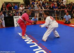 Image result for Women Jiu Jitsu Masters