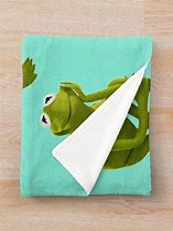 Image result for Kermit Front Door Plaid Blanket
