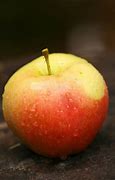 Image result for Apple Still Life