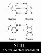 Image result for DNA Meme Chemistry