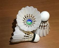 Image result for Badminton Birdie